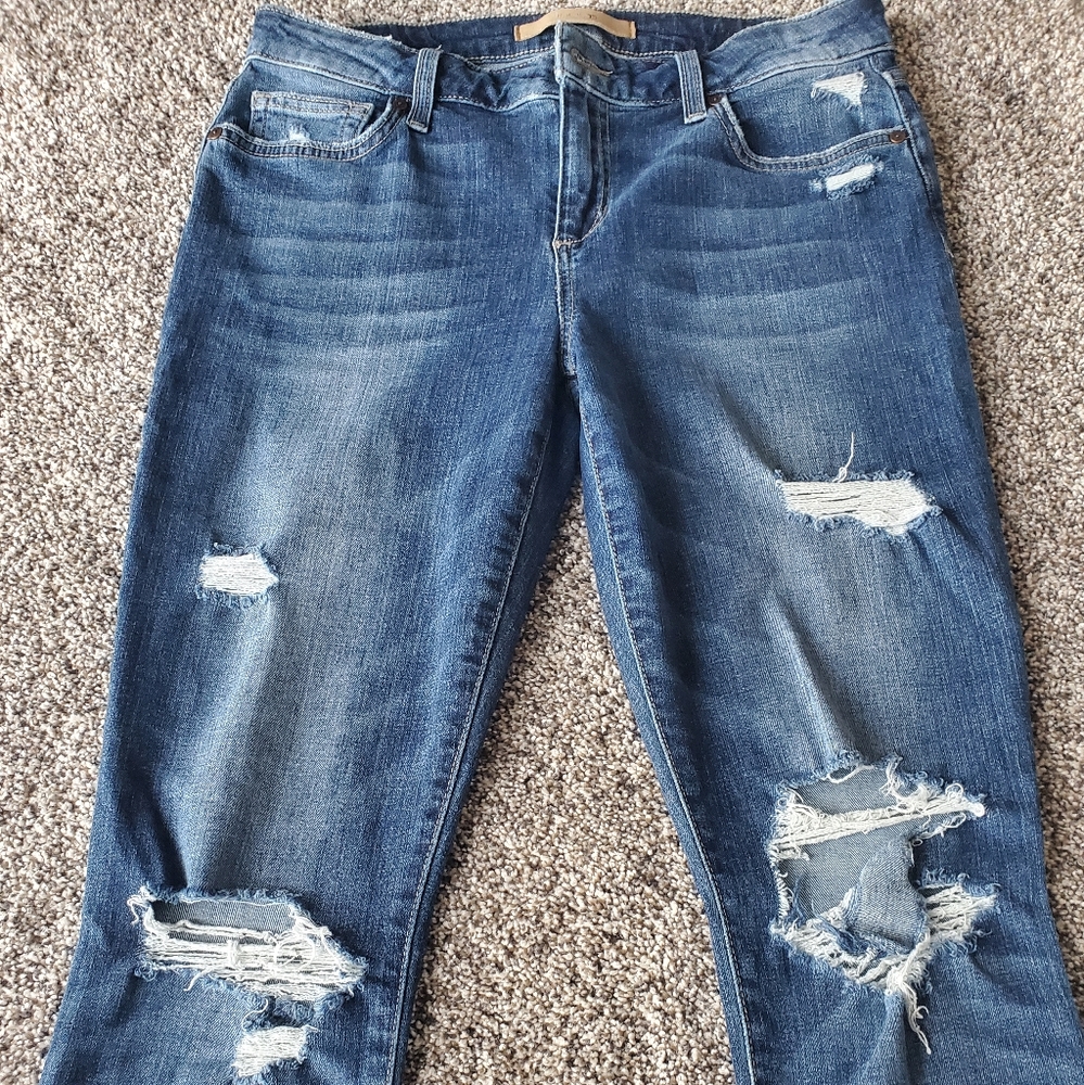 JOE Skinny Jeans